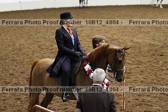 Proof Number 10r12_4804