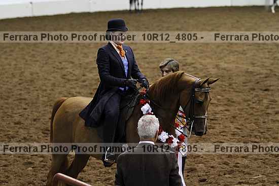 Proof Number 10r12_4805