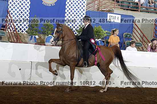 Proof Number 10r12_4810