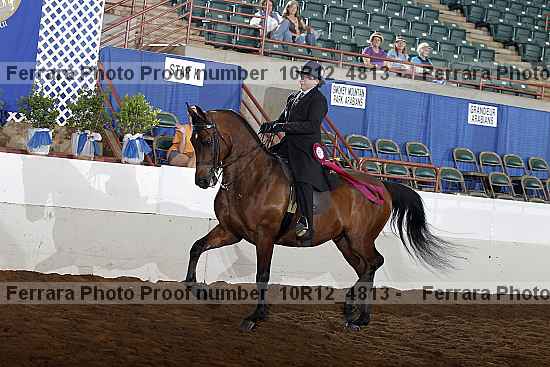 Proof Number 10r12_4813