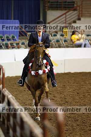 Proof Number 10r12_4816