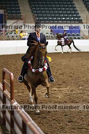 Proof Number 10r12_4818