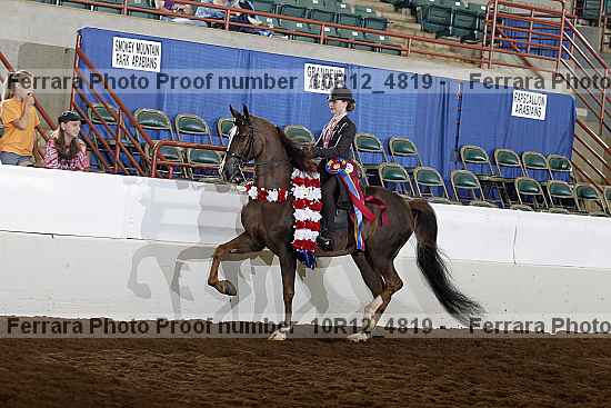 Proof Number 10r12_4819
