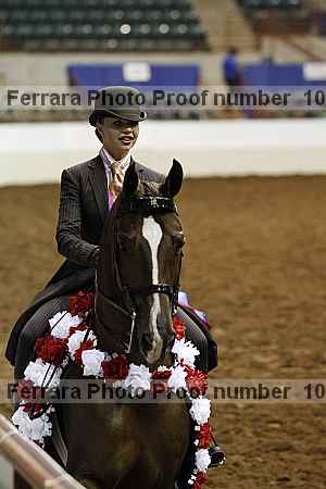 Proof Number 10r12_4822