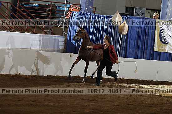 Proof Number 10r12_4861