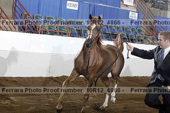 Proof Number 10r12_4866