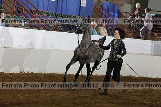 Proof Number 10r12_4868