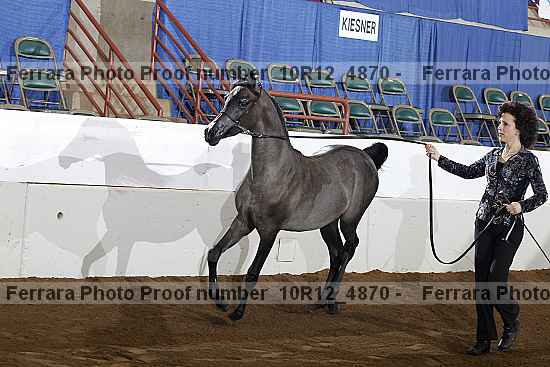 Proof Number 10r12_4870