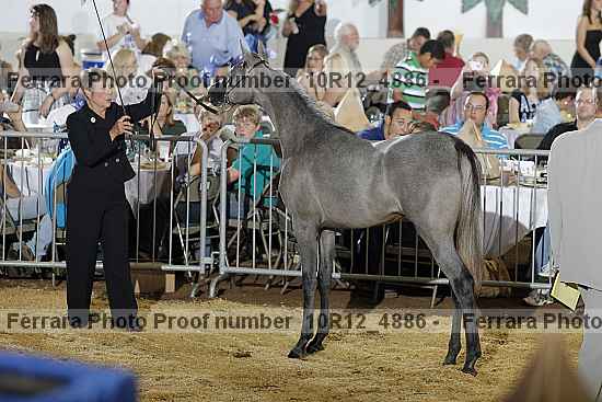 Proof Number 10r12_4886