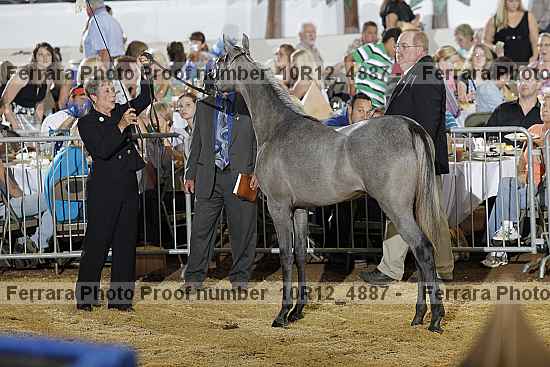Proof Number 10r12_4887