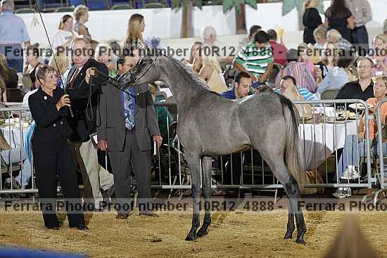 Proof Number 10r12_4888