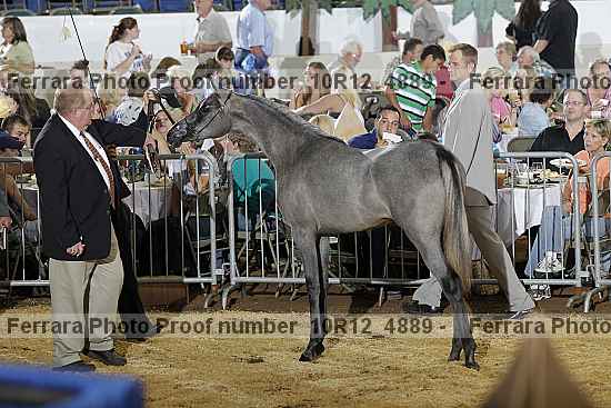 Proof Number 10r12_4889