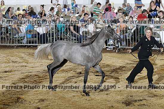 Proof Number 10r12_4890
