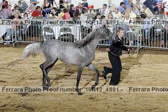 Proof Number 10r12_4891
