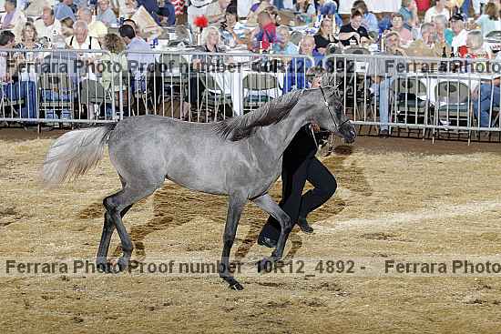 Proof Number 10r12_4892