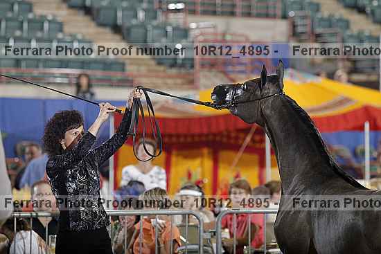 Proof Number 10r12_4895