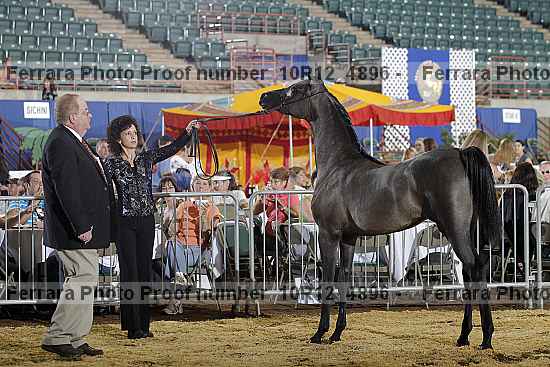 Proof Number 10r12_4896