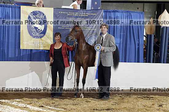Proof Number 10r12_4898