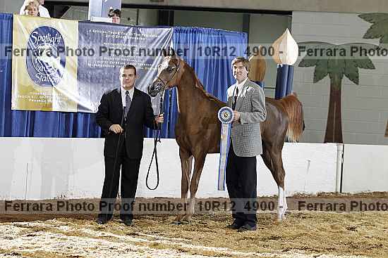 Proof Number 10r12_4900
