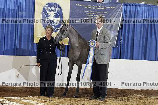 Proof Number 10r12_4901