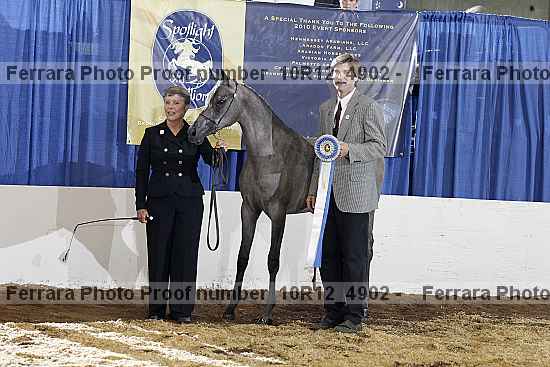 Proof Number 10r12_4902