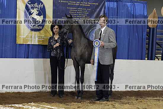 Proof Number 10r12_4903