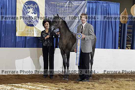 Proof Number 10r12_4904