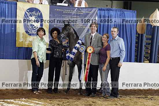 Proof Number 10r12_4905