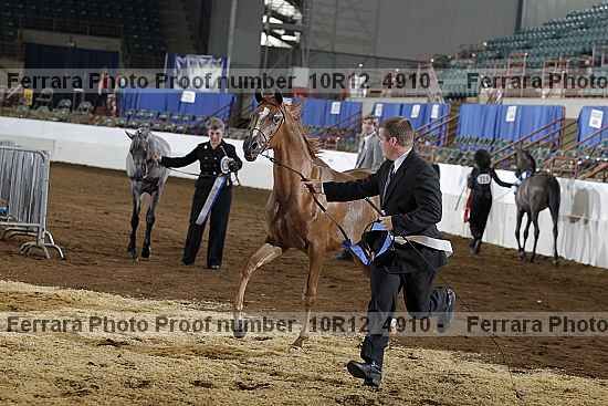 Proof Number 10r12_4910