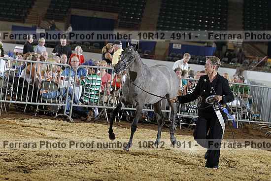 Proof Number 10r12_4911