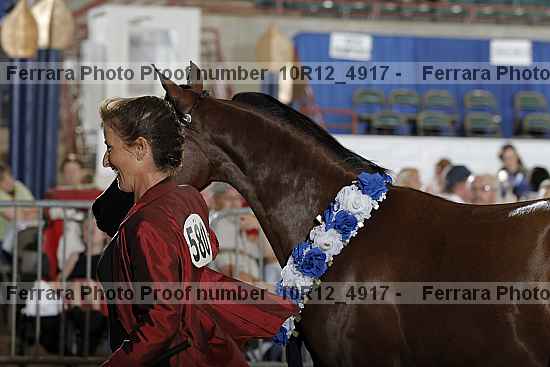 Proof Number 10r12_4917