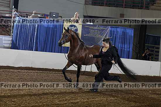 Proof Number 10r12_4919