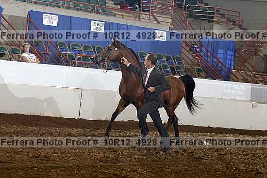 Proof Number 10r12_4928