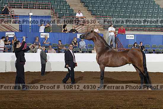 Proof Number 10r12_4930