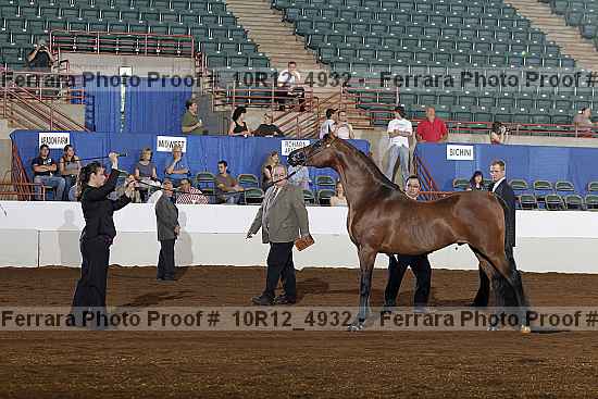 Proof Number 10r12_4932