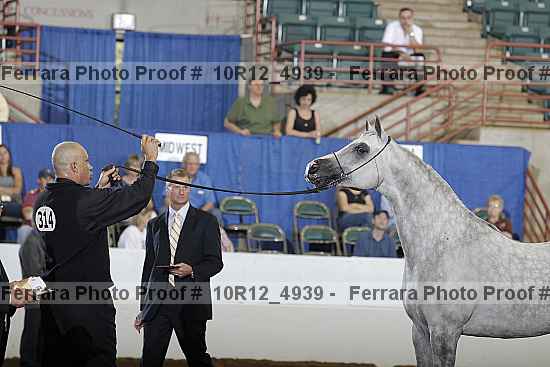 Proof Number 10r12_4939
