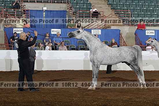 Proof Number 10r12_4940