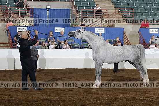 Proof Number 10r12_4941