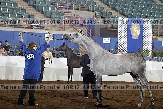 Proof Number 10r12_4943