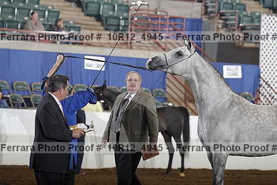 Proof Number 10r12_4945