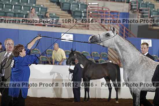 Proof Number 10r12_4946