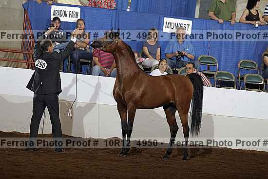 Proof Number 10r12_4950