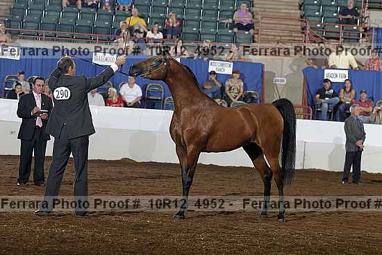 Proof Number 10r12_4952