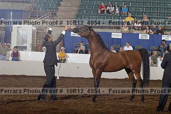 Proof Number 10r12_4954