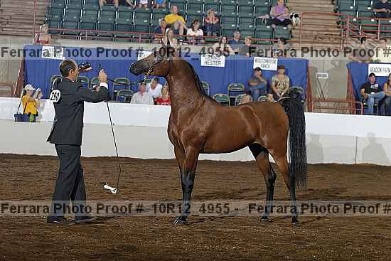 Proof Number 10r12_4955
