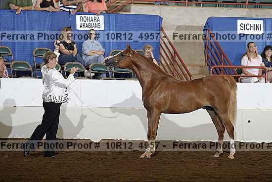 Proof Number 10r12_4957