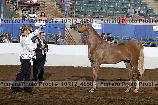 Proof Number 10r12_4958