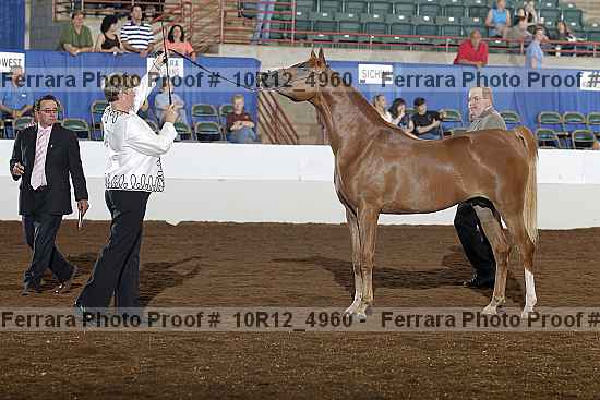 Proof Number 10r12_4960