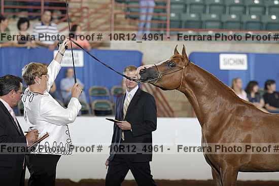 Proof Number 10r12_4961