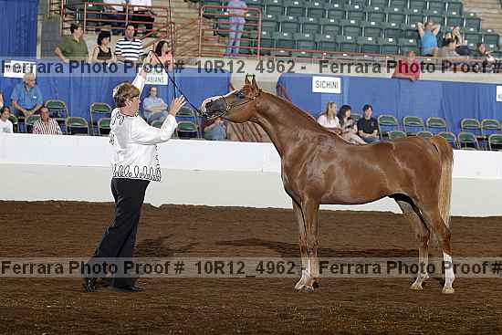 Proof Number 10r12_4962